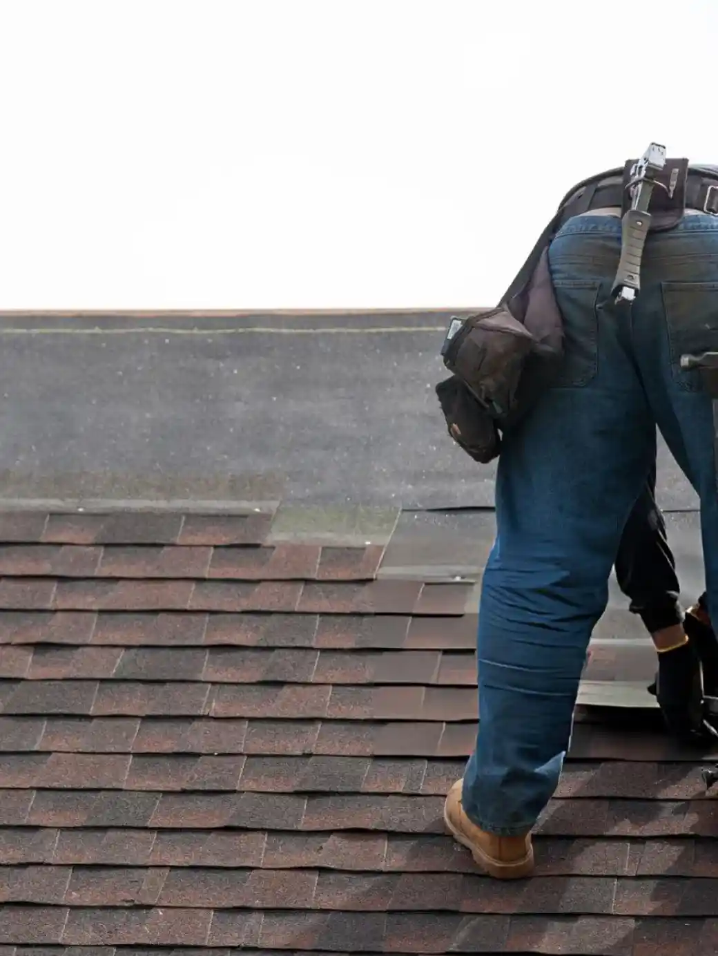 Affordable Asphalt Shingle Roofing in Saticoy, CA