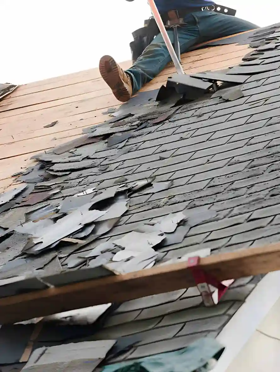 Dependable Roof Repair Services in Saticoy, CA